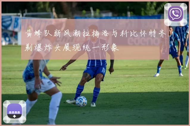黄蜂队新风潮拉梅洛与科比怀特齐剃爆炸头展现统一形象